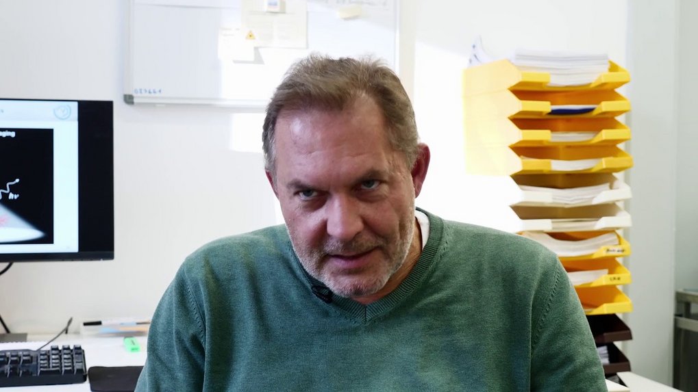 ... und die Dynamik neuronaler Netzwerke